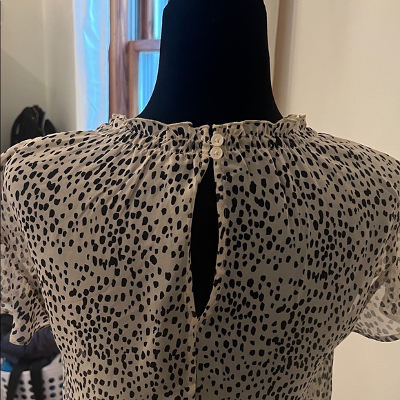 Express Sheer Black and White Polka Dot Women's Top - Picture 8 of 8